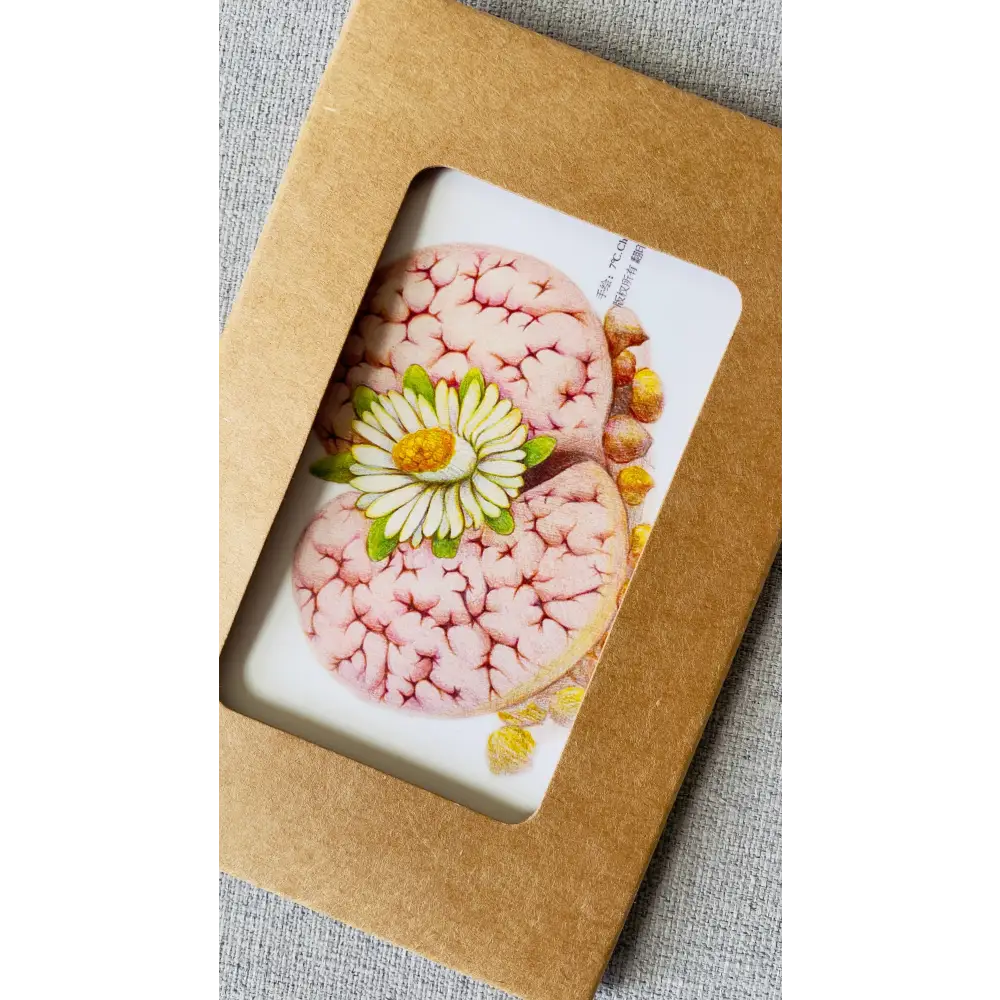 Botanical illustration postcard set, hand-drawn colored pencil lithops succulent art